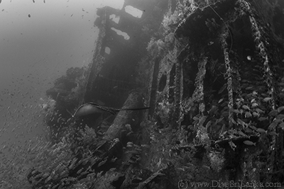 Bullray at SS Perseus